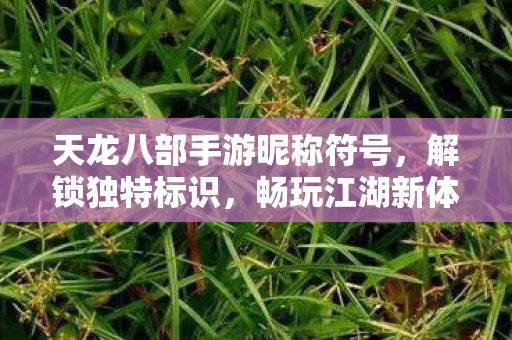 畅玩江湖新体验天龙八部私服图片