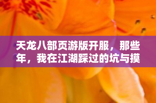 天龙八部页游版开服,那些年,我在江湖踩过的坑与摸出的野路子天龙八部私服 天龙八部页游版开服,那些年,我在江湖踩过的坑与摸出的野路子天龙八部私服