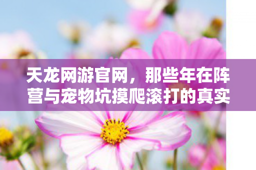 天龙网游官网,那些年在阵营与宠物坑摸爬滚打的真实体验天龙私服 天龙网游官网,那些年在阵营与宠物坑摸爬滚打的真实体验天龙私服