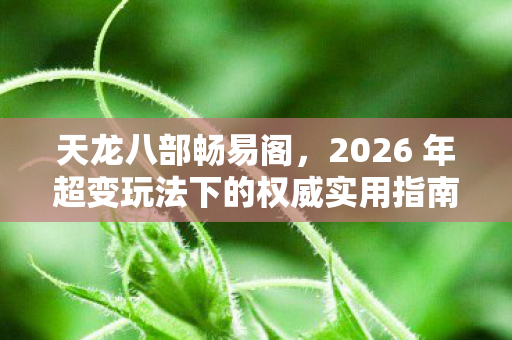 天龙八部畅易阁，2026 年超变玩法下的权威实用指南与痛点全解天龙八部私服