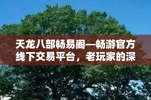 天龙八部畅易阁—畅游官方线下交易平台，老玩家的深度揭秘与经验分享天龙私服