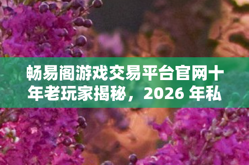畅易阁游戏交易平台官网十年老玩家揭秘，2026 年私服圈避坑指南天龙私服