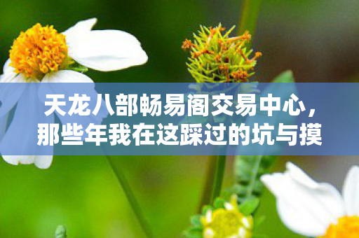 天龙八部畅易阁交易中心，那些年我在这踩过的坑与摸出的野路子天龙八部私服