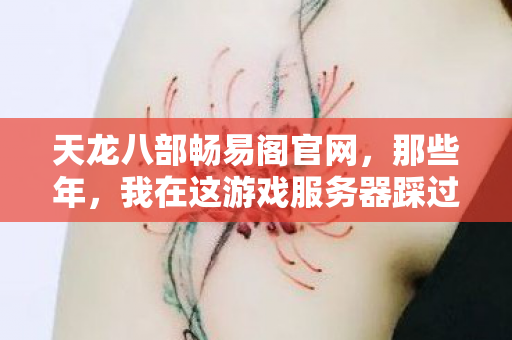 天龙八部畅易阁官网，那些年，我在这游戏服务器踩过的坑与摸出的野路子天龙私服