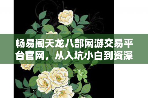 从入坑小白到资深玩家的血泪历程天龙八部私服图片