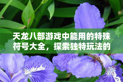 天龙八部游戏中能用的特殊符号大全图片