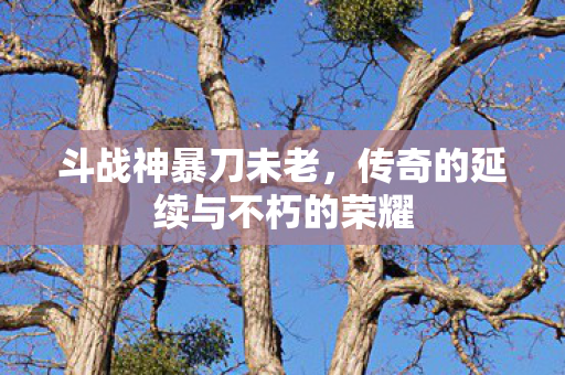 传奇的延续与不朽的荣耀图片