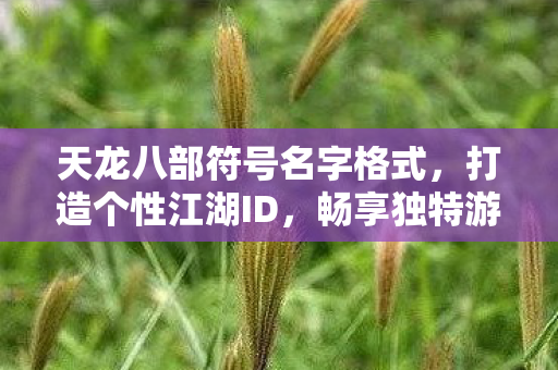 畅享独特游戏体验天龙八部私服图片