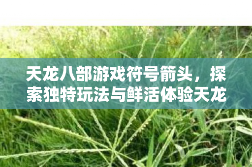 天龙八部游戏符号箭头，探索独特玩法与鲜活体验天龙八部私服