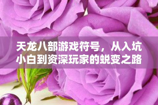 天龙八部游戏符号，从入坑小白到资深玩家的蜕变之路天龙私服