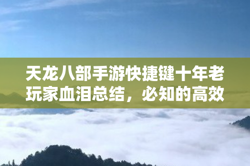 天龙八部手游快捷键十年老玩家血泪总结，必知的高效操作秘籍天龙八部私服