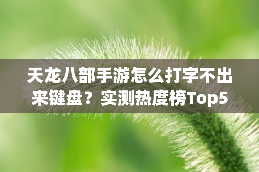 天龙八部手游怎么打字不出来键盘?实测热度榜Top5高人气服,避坑指南大公开!天龙八部私服 天龙八部手游怎么打字不出来键盘?实测热度榜Top5高人气服,避坑指南大公开!天龙八部私服