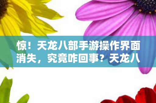 惊!天龙八部手游操作界面消失,究竟咋回事?天龙八部私服 惊!天龙八部手游操作界面消失,究竟咋回事?天龙八部私服