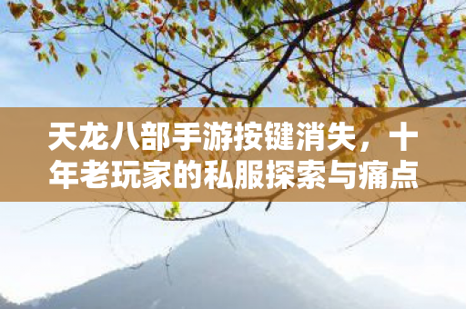 天龙八部手游按键消失，十年老玩家的私服探索与痛点解决天龙私服