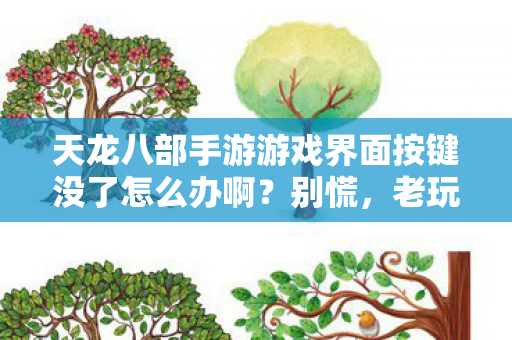 天龙八部手游游戏界面按键没了怎么办啊？别慌，老玩家带你找回畅玩体验天龙八部私服