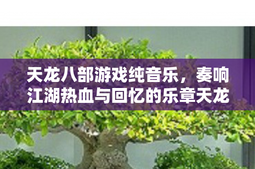 天龙八部游戏纯音乐，奏响江湖热血与回忆的乐章天龙私服