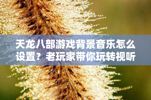 天龙八部游戏背景音乐怎么设置？老玩家带你玩转视听盛宴！天龙八部私服