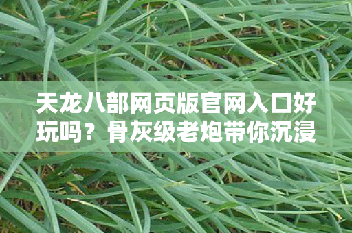 天龙八部网页版官网入口好玩吗图片