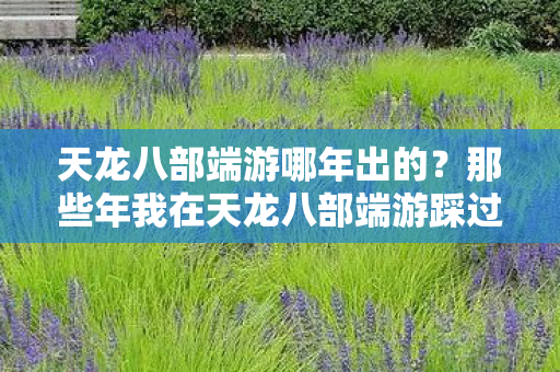 那些年我在天龙八部端游踩过的坑与摸出的野路子天龙私服图片