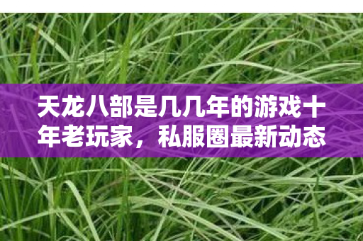 天龙八部是几几年的游戏十年老玩家，私服圈最新动态大揭秘天龙私服