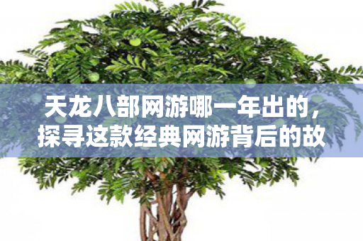 探寻这款经典网游背后的故事与玩法变迁天龙八部私服图片