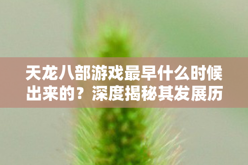 深度揭秘其发展历程与玩法变迁天龙私服图片