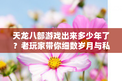老玩家带你细数岁月与私服那些事儿天龙私服图片