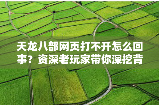 资深老玩家带你深挖背后真相天龙八部私服图片