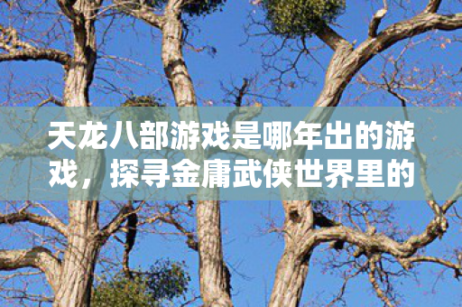 探寻金庸武侠世界里的热血江湖之旅天龙八部私服图片