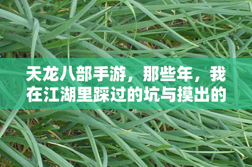 我在江湖里踩过的坑与摸出的招天龙八部私服图片