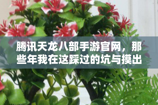 那些年我在这踩过的坑与摸出的野路子天龙私服图片