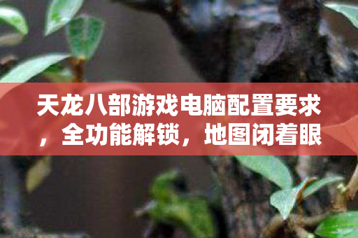 PK乱杀的老炮秘籍天龙八部私服图片