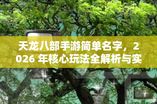 2026 年核心玩法全解析与实用指南天龙八部私服图片