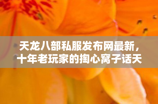 十年老玩家的掏心窝子话天龙私服图片