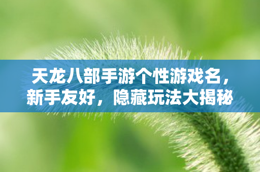 天龙八部手游个性游戏名图片