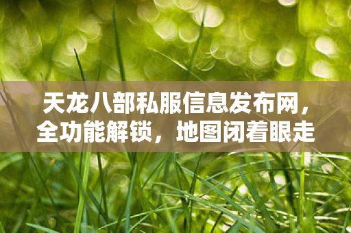 PK乱杀的骨灰级玩法天龙八部私服图片