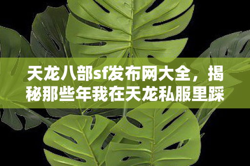 揭秘那些年我在天龙私服里踩过的坑与摸出的野路子天龙私服图片