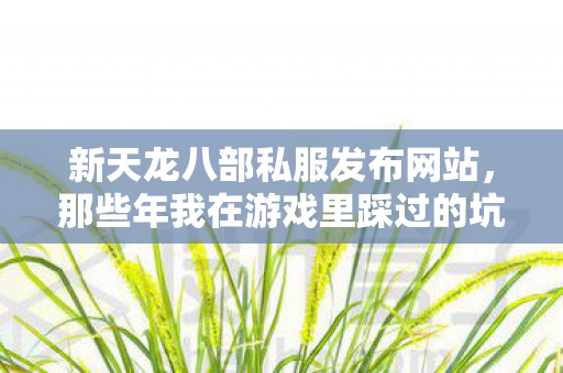 那些年我在游戏里踩过的坑与摸出的野路子天龙八部私服图片