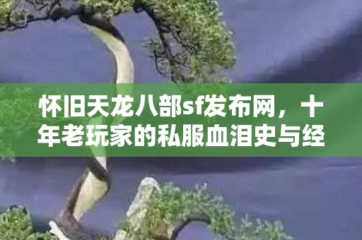 十年老玩家的私服血泪史与经验分享天龙私服图片