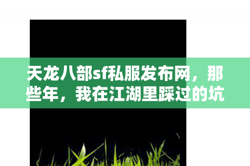 我在江湖里踩过的坑与摸出的野路子天龙私服图片