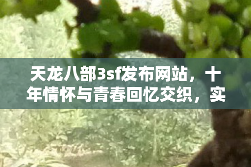 天龙八部3sf发布网站图片