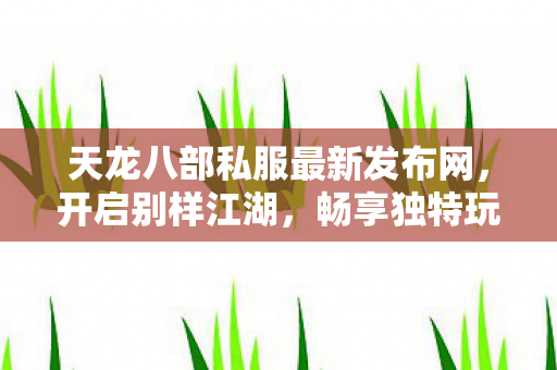 天龙八部私服最新发布网图片