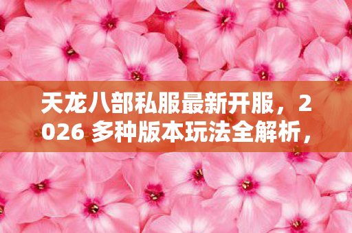 2026 多种版本玩法全解析图片