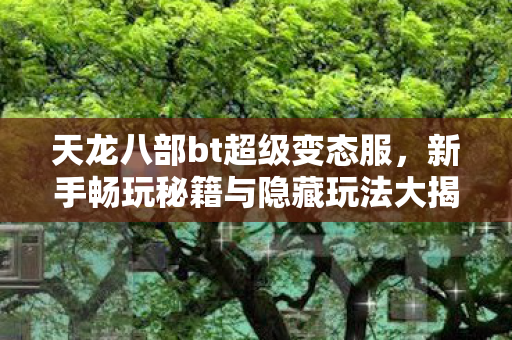 新手畅玩秘籍与隐藏玩法大揭秘天龙八部私服图片