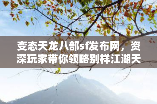 资深玩家带你领略别样江湖天龙私服图片
