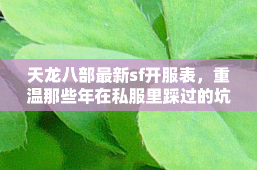 重温那些年在私服里踩过的坑与摸出的野路子天龙八部私服图片
