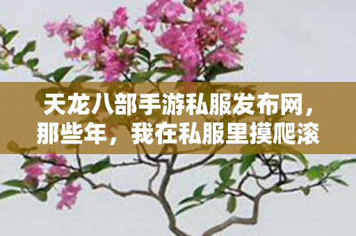 我在私服里摸爬滚打的奇幻之旅天龙八部私服图片