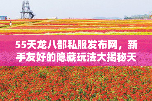 新手友好的隐藏玩法大揭秘天龙八部私服图片