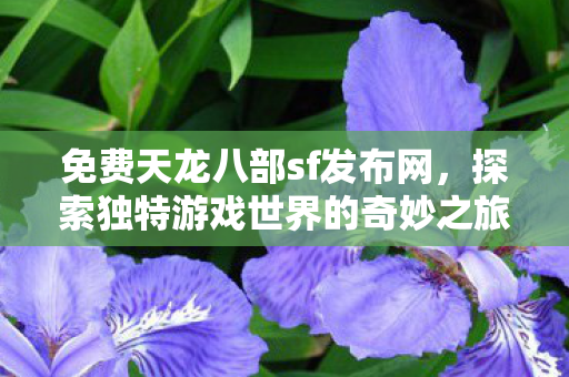 探索独特游戏世界的奇妙之旅天龙私服图片