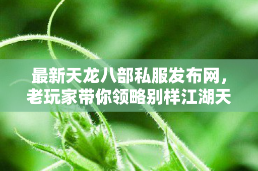 老玩家带你领略别样江湖天龙私服图片